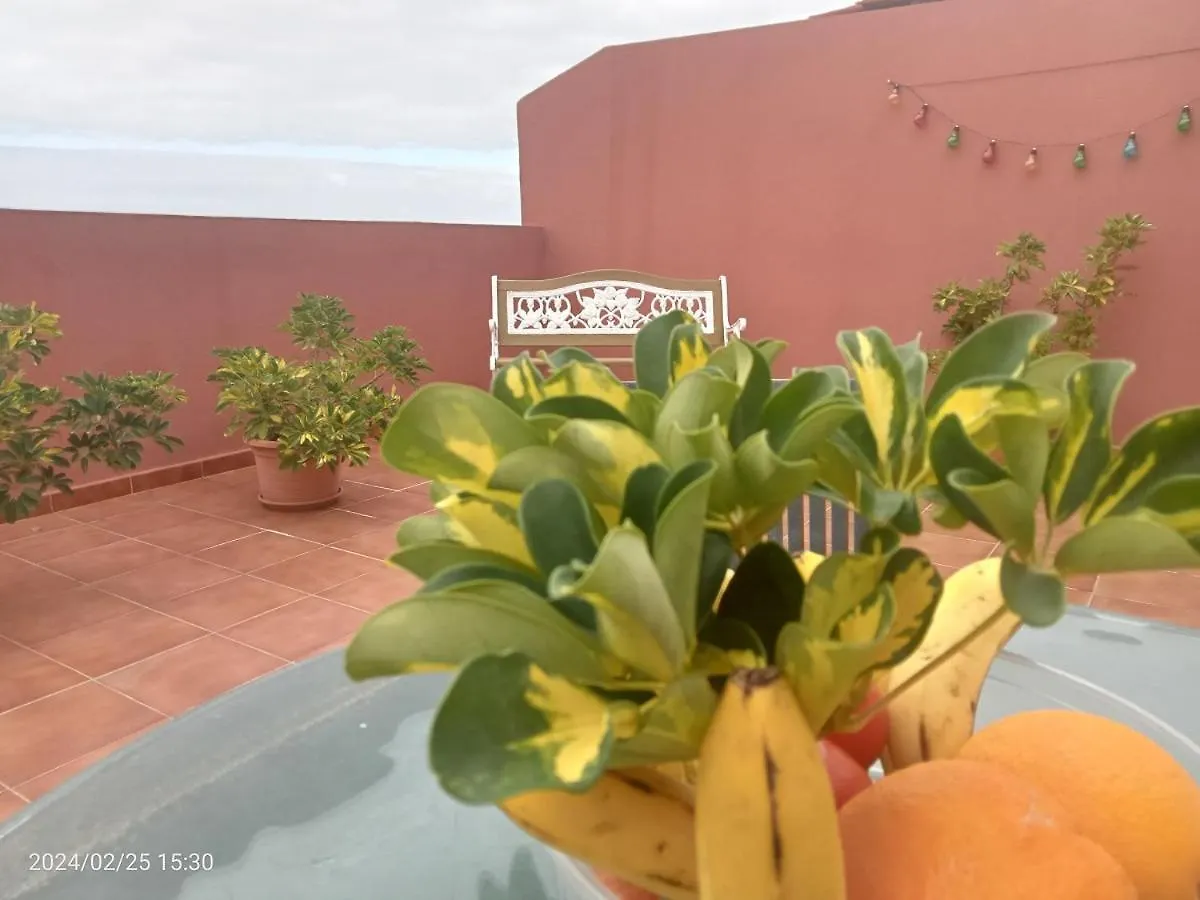 Beatifull Apartament Sea View In Pto Cruz Puerto de la Cruz  Spain