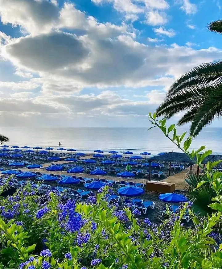 Beatifull Apartament Sea View In Pto Cruz Puerto de la Cruz  Spain